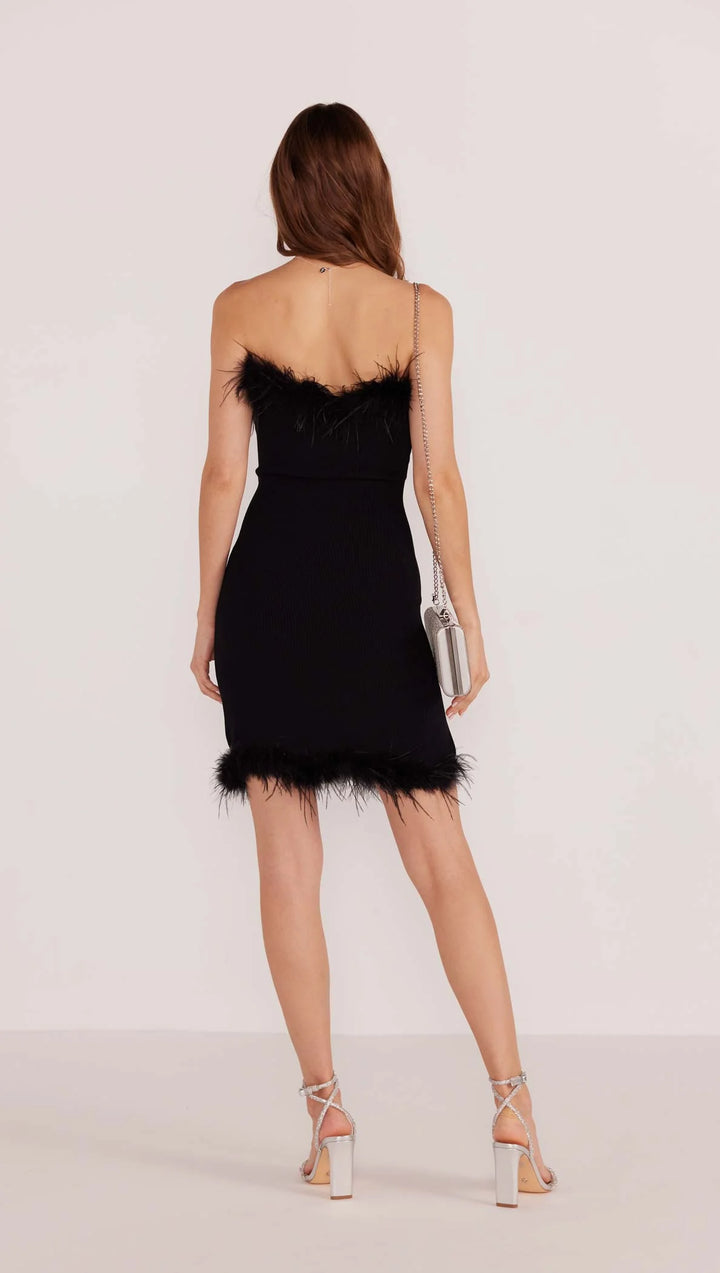 Mink Pink Feather Trim Mini Dress